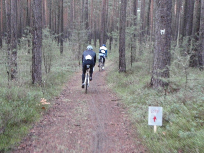 CTF Celle 117
